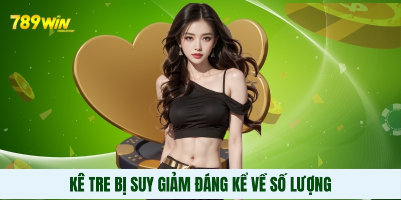 Kê tre bị suy giảm đáng kể về số lượng Kê tre bị suy giảm đáng kể về số lượng