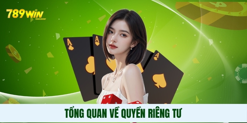 Tổng quan về quyền riêng tư Tổng quan về quyền riêng tư
